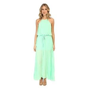 Gabrielle Rocha-Courtney Pleated Maxi Dress